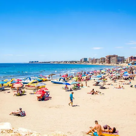 Espanatour Estudio Vega Torrevieja