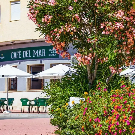 Apartment Espanatour Estudio Vega Torrevieja